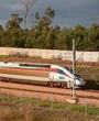 El Banco Africano de Desarrollo destina 205 millones de euros a la alta velocidad de Marruecos